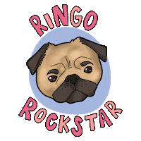 youtube video Sticker by tuttelemelediannie