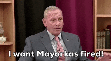 New Hampshire GIF by GIPHY News