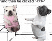 Pibble GIF