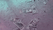 New Music Money GIF by Pure Noise Records