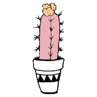 joshua tree magic Sticker by CEO Yeah!