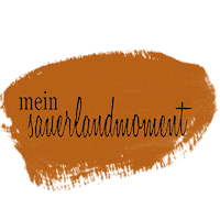 Sauerland Arnsberg Sticker by sauerlandmoment.de