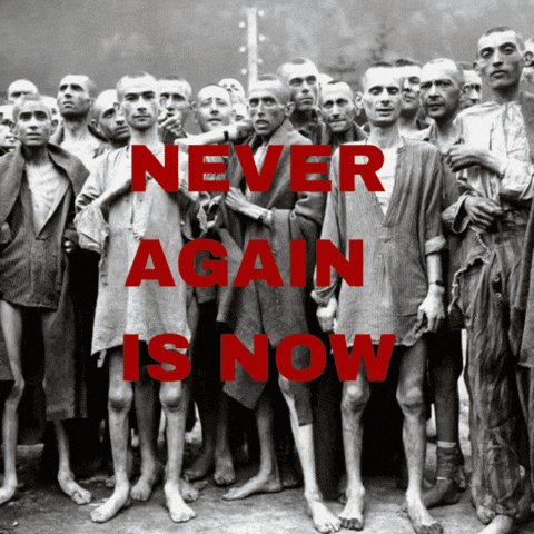 Starving Humanitarian Aid GIF by Creative Courage