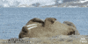 Bbc Two Sleep GIF by BBC