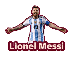 World Cup Football Sticker