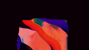3D Video GIF by Arnaud Laffond
