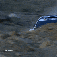 Driving Saudi Arabia GIF by FIA World Rally Championship