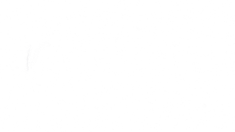 Block Party Sticker by Priscilla Block