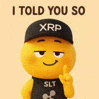 I Told You Omg GIF by SaluteXRPL