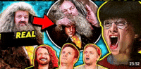 React Harry GIF