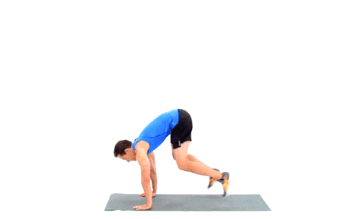 workout burpees GIF