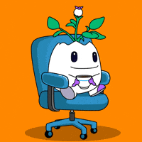 Excuse Me What GIF by Magic Eden