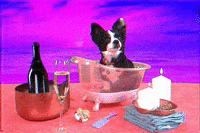 GIF by baddoggwoofwoof