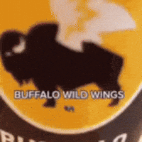 big_mac_central_ giphystrobetesting GIF