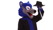 Graduation Uwg GIF by University of West Georgia