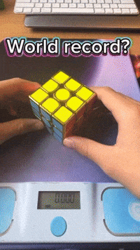 World Record GIF