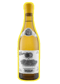 white wine drinking Sticker by Pasqua Wines