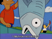 presenting season 4 GIF