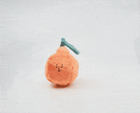 thefurryfolks orange the furryfolks GIF