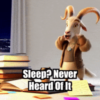 Exams Studygram GIF by Radiantelope