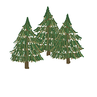 noelledowning pine Sticker