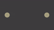 Realestate Portugal GIF by C21 Realty Art
