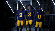 Go Blue Michigan Football GIF by Michigan Athletics