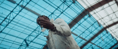 travis scott beibs in the trap GIF