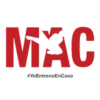 Taekwondo Noesno Sticker by Artes marciales MAC