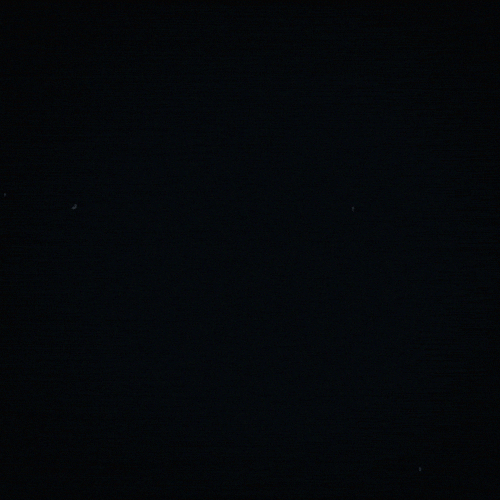 gif artist crush GIF by Erica Anderson