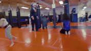 chasing ufc 217 GIF
