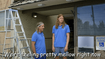 We're Feeling Pretty Mellow