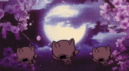 Cat Bop GIF
