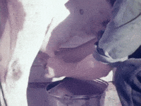 vintage milk GIF