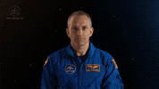 agencespatialecanadienne wow cerveau astronaute impressionnant GIF