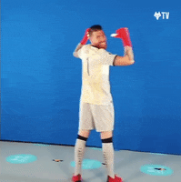 Premier League Dance GIF by Wolves