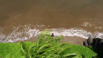 chippi chippi GIF by sheckwes