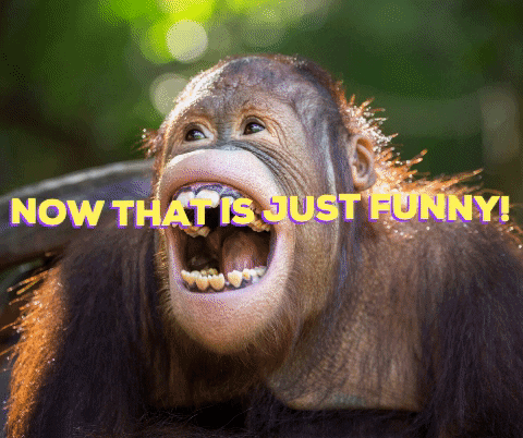 philwiseman giphygifmaker GIF