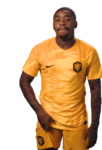 Fifaworldcup Bergwijn Sticker by OnsOranje