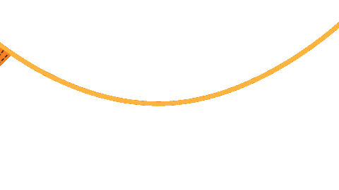 Go Tigers Sticker by Princeton University