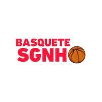Basquete Sticker by Sociedade Ginástica NH