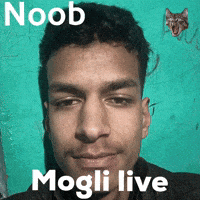 Noob Kashmir GIF