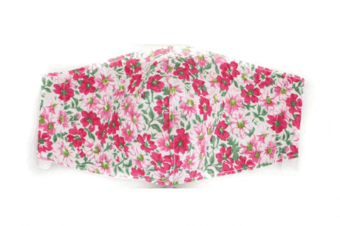 bowsarts giphygifmaker GIF