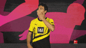 Borussia Dortmund Football GIF by Bundesliga