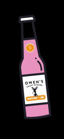 OwensMixers giphygifmaker drink cheers drunk GIF