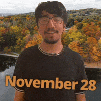 November 28