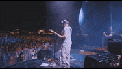 slightlystoopid music concert crowd stage GIF