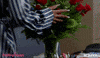 Red Roses Love GIF by Bounce