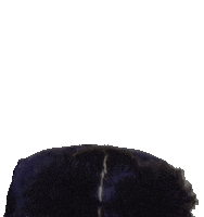 Cracking Up Laughing Sticker