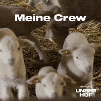 Baby Wow GIF by Sky Deutschland